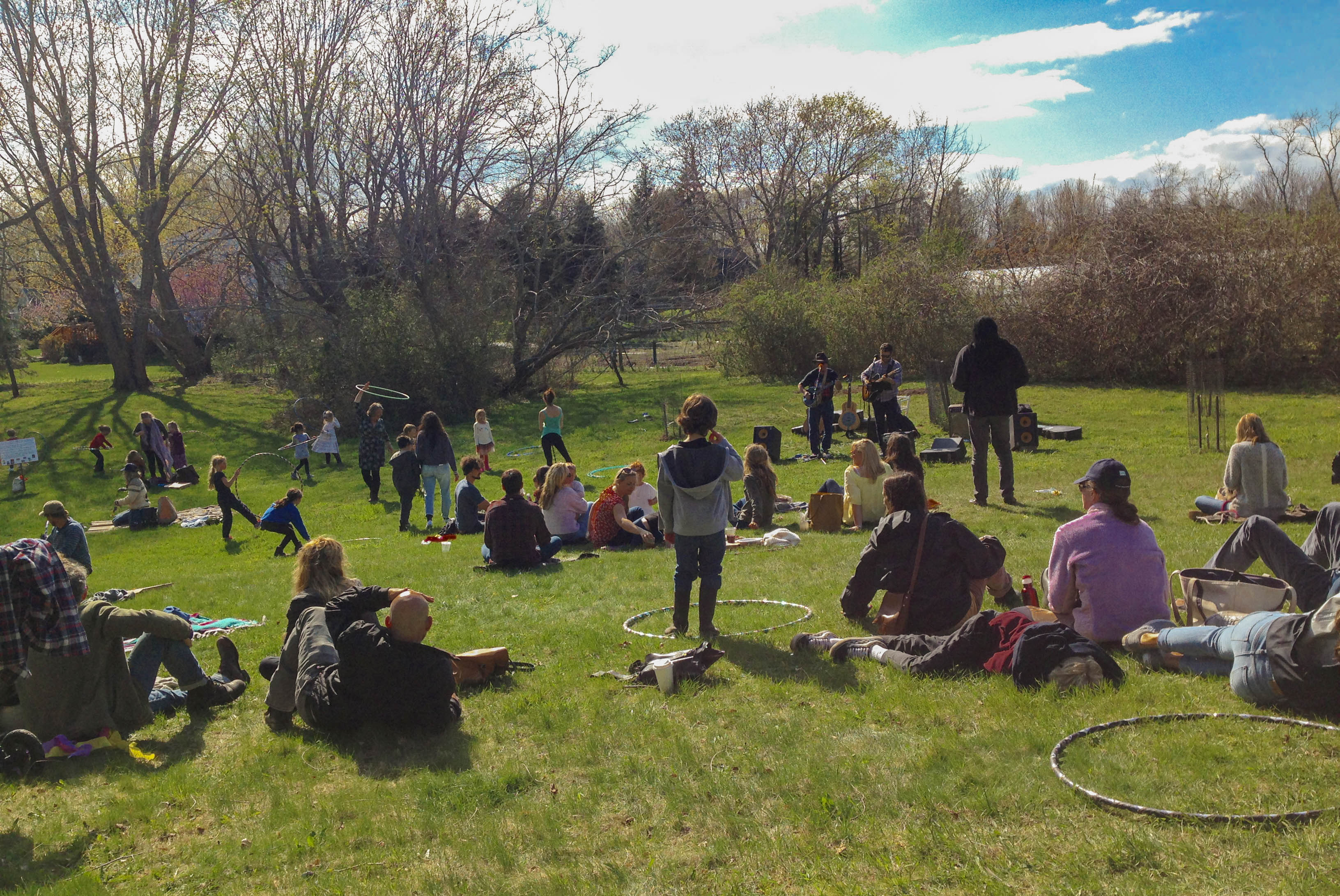 Let's Start a Dandelion Festival! Biodynamic Association